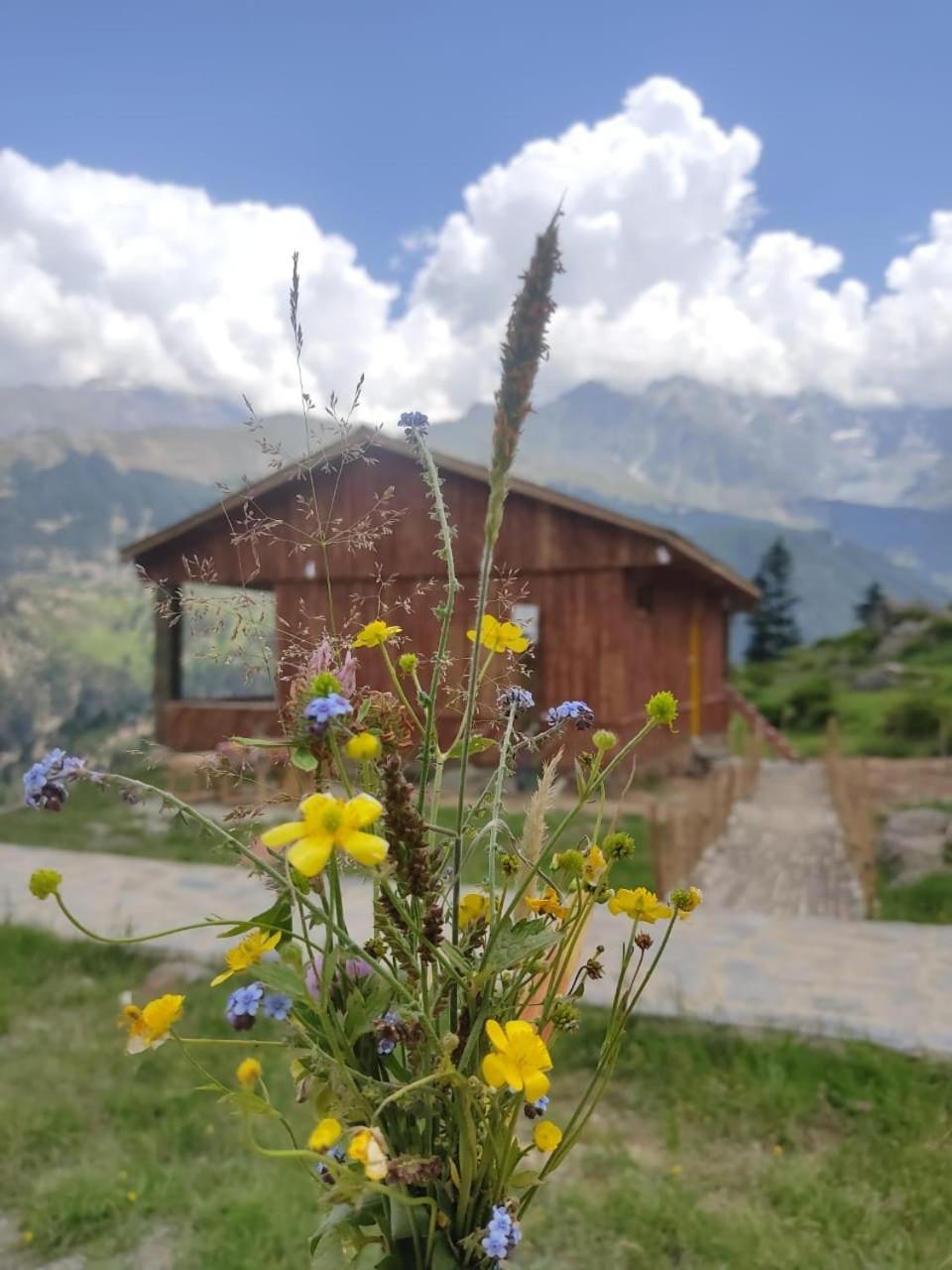 Kalam Khana Badosh Resort מראה חיצוני תמונה